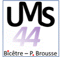 Formulaires UMS44